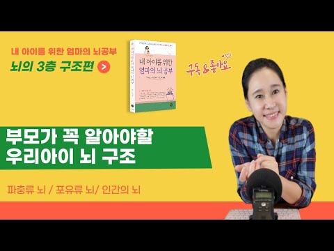 [연령별 뇌 발달 포인트2편] 학령기,청소년기편 - 전두엽,측두엽,두정엽,후두엽,대뇌피질,뇌 발달, 두뇌발달,사춘기 뇌,초등학생,중학생,고등학생,뇌 발달과 적기교육,두뇌발달,