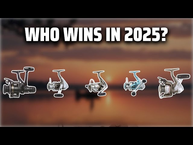 The Top 5 Best Shimano Quickfire Reels in 2025 - Must Watch Before Buying! - YouTube The Top 5 Best Shimano Quickfire Reels in 2025 - Must Watch Before Buying! - YouTube
