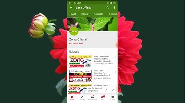 Zong Fast Speed Unlimited Internet New Proxy Today 2019 By Zong Official