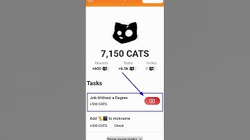 Job Without a Degree, Cats video code/ Cats verification code Job Without a Degree
