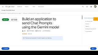 Build an application to send Chat Prompts using the Gemini model | bb-ide-genai-003 | screenshot 5