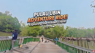 Pulau Ubin Adventure Ride! Exploring the Hidden Trails & Mangrove Bridges 🚲🌴