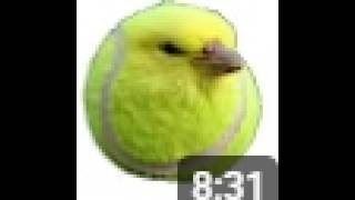 9 mins and 4secs of balls