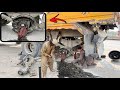 Truck Axle and Housing Tube Badly Broken Due To Overload || Complete Restoration Of The Truck