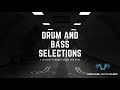 Drum and Bass Selection - A Journey Through Drum and Bass (DnB Mix)