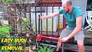 Easiest Way to Remove Bush Stumps!