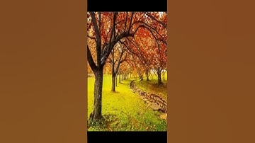 Thumbnail of Otoño de Vivaldi [Música Clásica] ¡Suscribete!