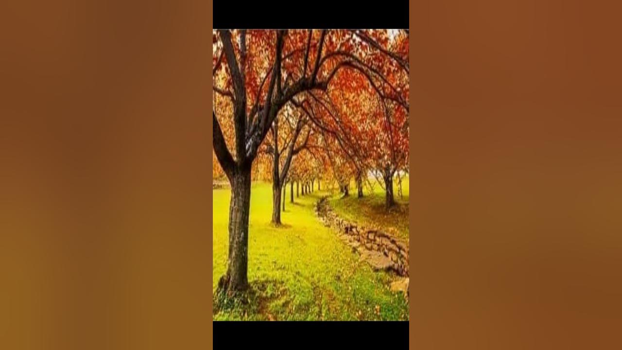 Otoño de Vivaldi [Música Clásica] ¡Suscribete!