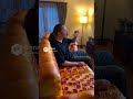 #pizza