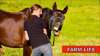 new horse vlog | Farm life | 2023