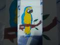 blue parrot drawing colourful cute