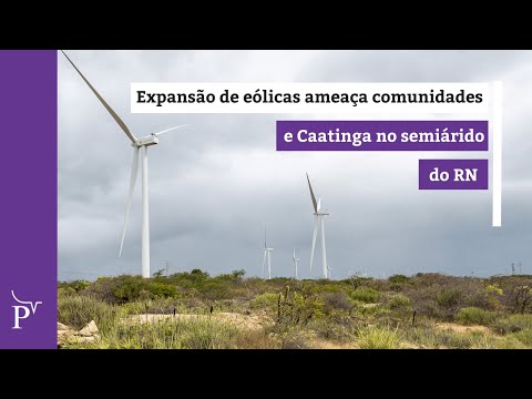 Expansão de eólicas ameaça comunidades e Caatinga no semiárido do Rio Grande do Norte