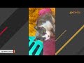 Rare cat is 1 in 100 million
