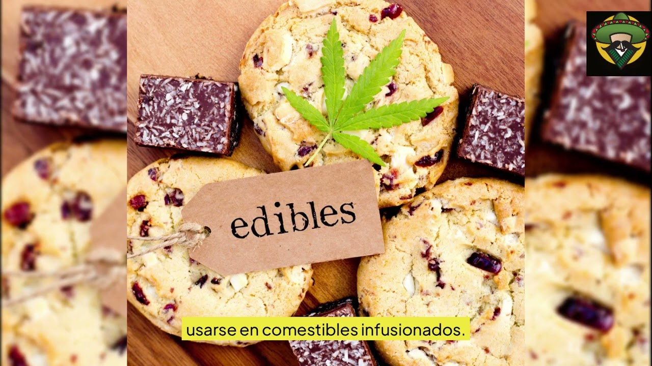 Concentrados de Cannabis