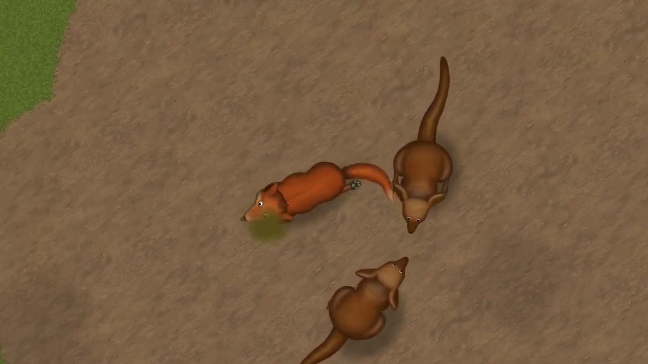 Dingo baby-tasty planet forever