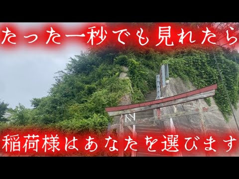 ※奇跡が次々と起きています※1秒でも見れた人は“選ばれています”|見るだけで稲荷様と繋がる神秘の映像「金運・商売繁盛のご神徳」心を込めて祈ると現実が動く|宮城七ヶ浜稲荷神社【遠隔参拝】【リモート参拝】