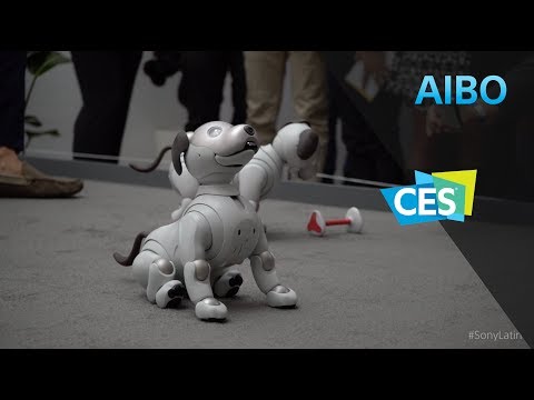 YouTube video xZ446TYdf_k thumbnail