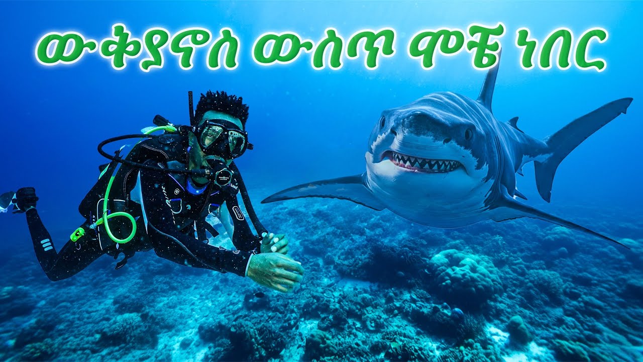 ታይገር ሻርክ ለማየት ሄድኩ | Tiger Shark | Maldives part 2