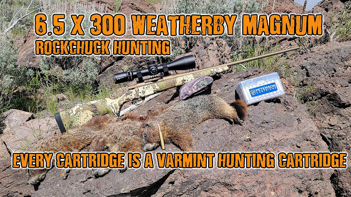 Is a 6.5 by 300 Weatherby accurate?