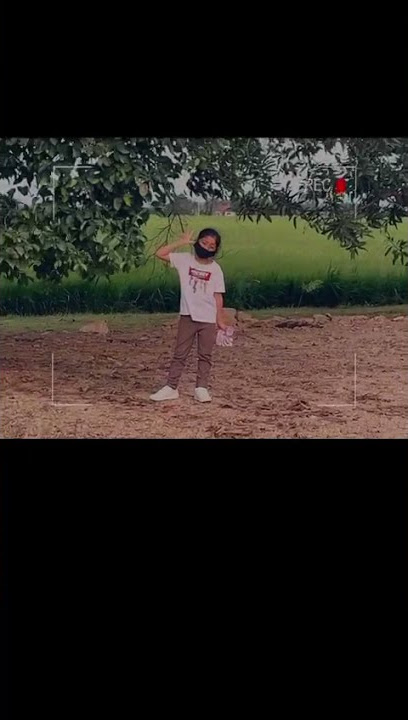Rissa di kg halaman