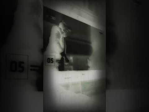 Mavins Rema Boy Spyce Crayon Bayanni Magixx LADIPOE Ayra Starr Johnny Drille Won Da Mo