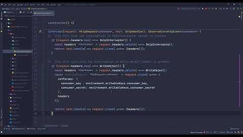 9. Creating Angular HTTP Interceptor For Backend