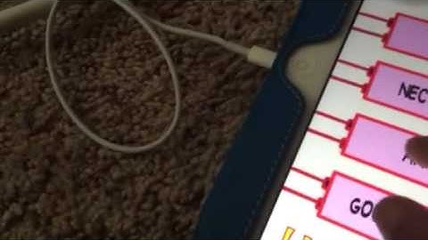 The impossible quiz levels 101-110 on a iPad !!!!!!!!!!!!