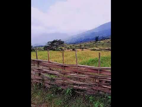 Y tý cảnh đẹp 😍 - YouTube