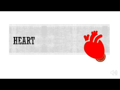 心臟疾病(The Heart)