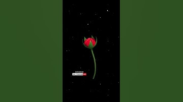 K❤️ Letter Name Status❤️||Name art Video😍||Whatsapp status💘||2022  #ms_creation243