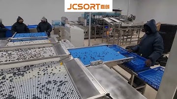 Blueberry Grading Machine, Blueberry Sorting Machine, Blueberry Sorter, Blueberry Calibrator