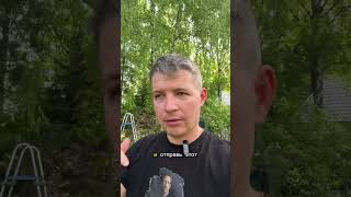 AI не только пишет код, но и тестит его | Реальный кейс с сайтом ресторанов