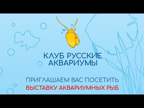 Приглашение на выставку