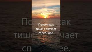 Тише едешь, дальше будешь. Эта поговорка применима не только для автомобилистов.