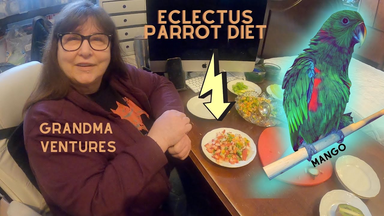 Eclectus Parrot Diet.. How To Feed Eclectus Parrots! YouTube