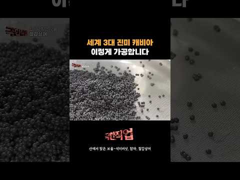#극한직업 #세계3대진미 #캐비어 #<strong>캐비아</strong> #철갑상어