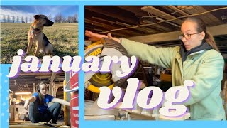 productive jan vlog II cooking disasters, sustainable woodworking & crafting galore