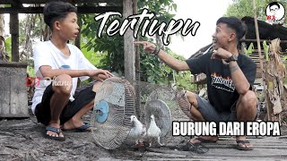 FOOLED BY BIRDS FROM EUROPE 🕊 || BJ DHANY