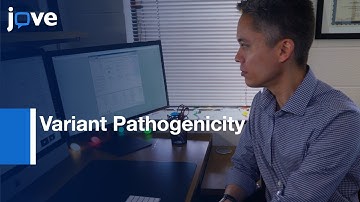 Amino Acid-level Signal-to-Noise Analysis for Variant Pathogenicity| Protocol Preview