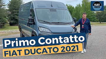 Quali sono i furgoni Fiat?