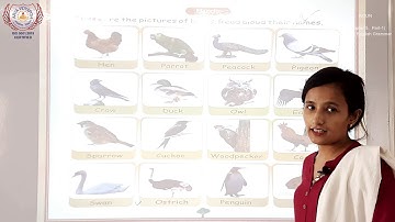 Class 1 - Noun I Learn English Grammar I Part - 1 I Arya Vidyapith I Best School in Motihari