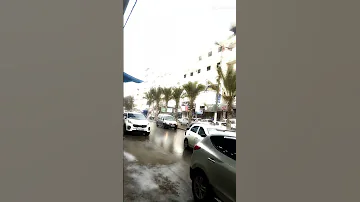 ليلة عند الحبايب ليلة 