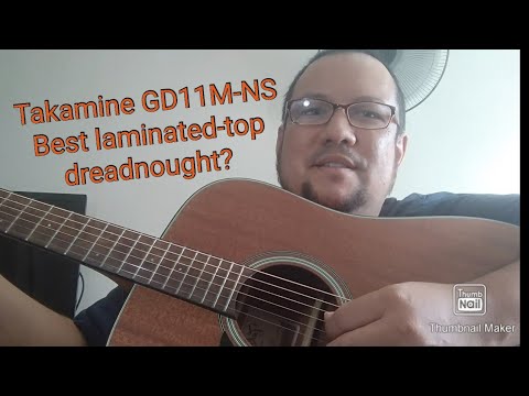 Review: Takamine GD11M-NS acoustic guitar