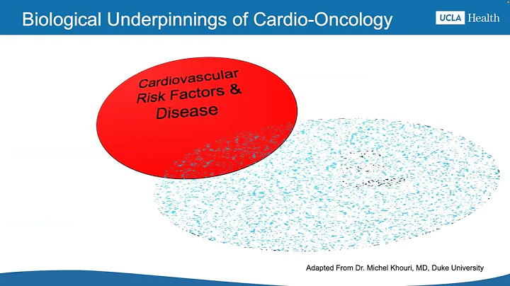 Unique Phenotypes of Cardiogenic Shock in Cardio-Oncology: Exploring A High Mortality Frontier