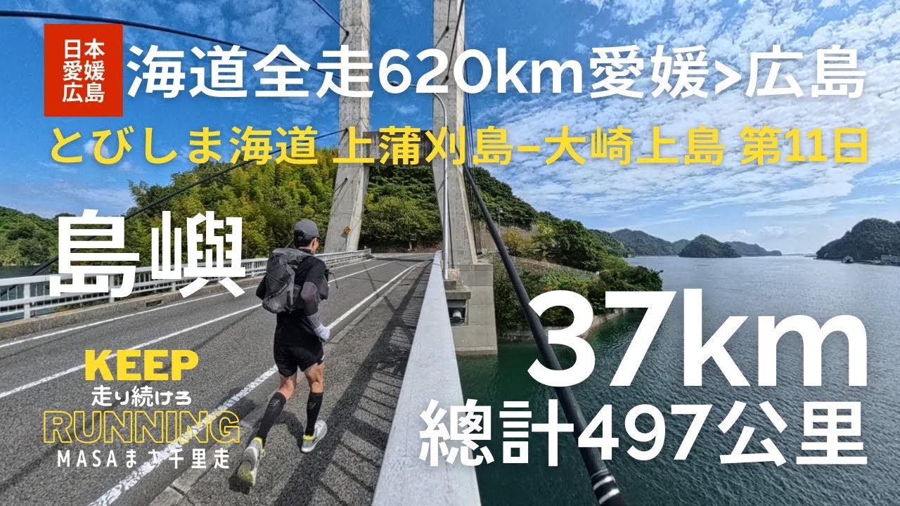 はまかいじ KAIHOU カイホウジャパン 【代引不可】SUISUI 20インチ電動アシスト