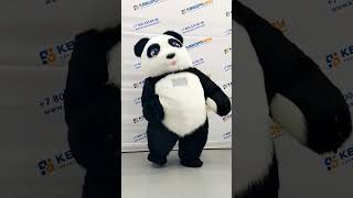 Надувная большая панда. надувной костюм от КвадроШоу #надувнойкостюм #надувнаяпанда #панда