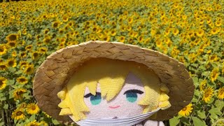 卯月コウの配信のサムネイル画像