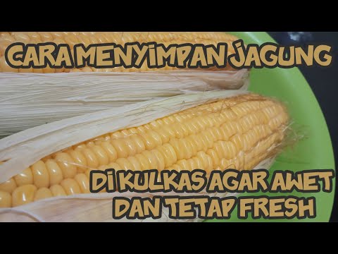 Video: Cara Menyimpan Jagung