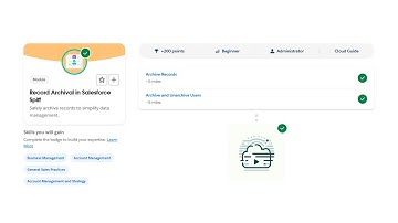 Record Archival in Salesforce Spiff - Salesforce Trailhead