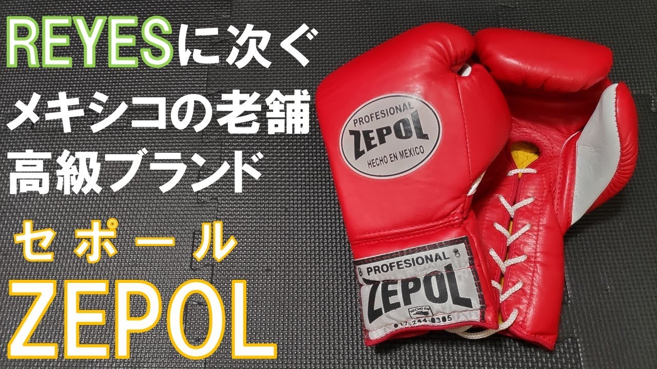 ZEPOL] A review of the 8oz Professional Fight Gloves, a legendary